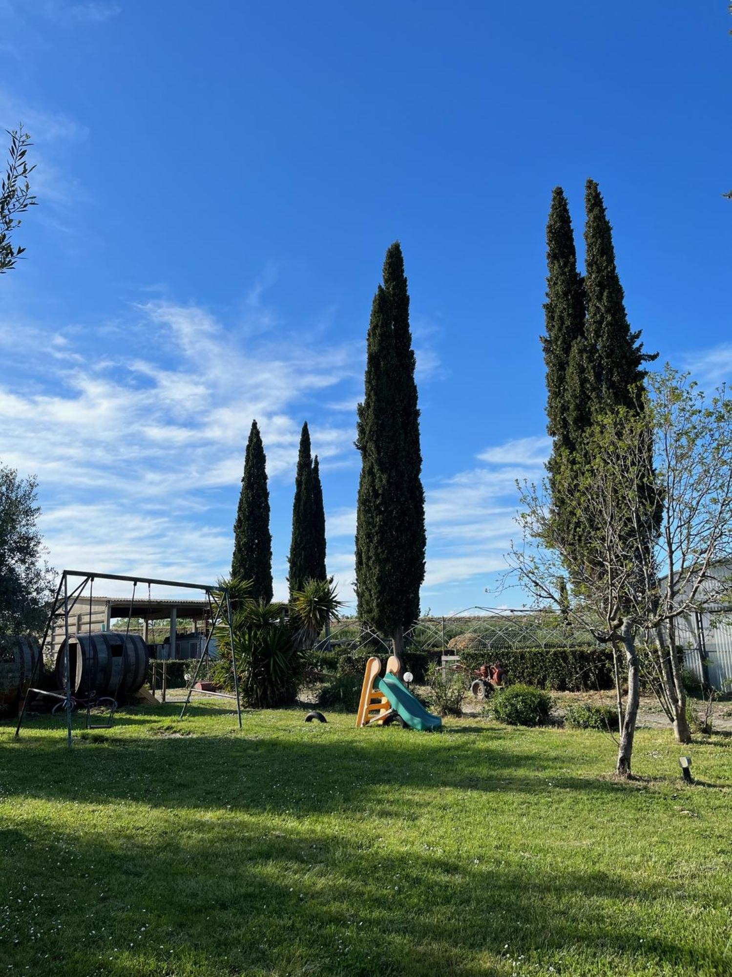 Il Gelsomino Alloggio per agriturismo Alberese