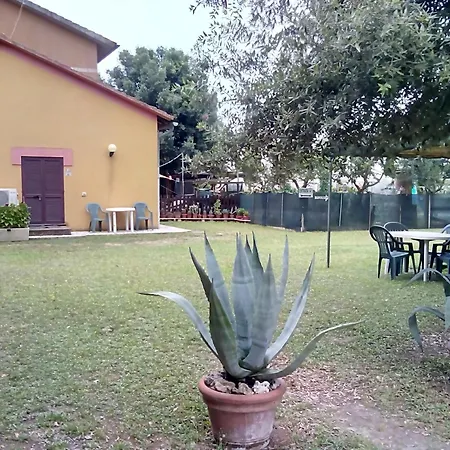 Il Gelsomino Bio Agriturismo Alberese Room photo