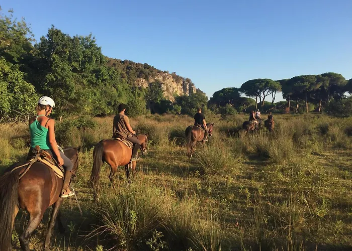 Il Gelsomino Bio Agriturismo