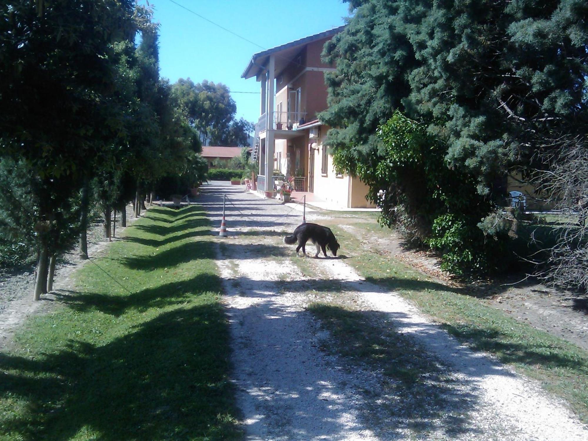 Il Gelsomino Bio Farm stay *