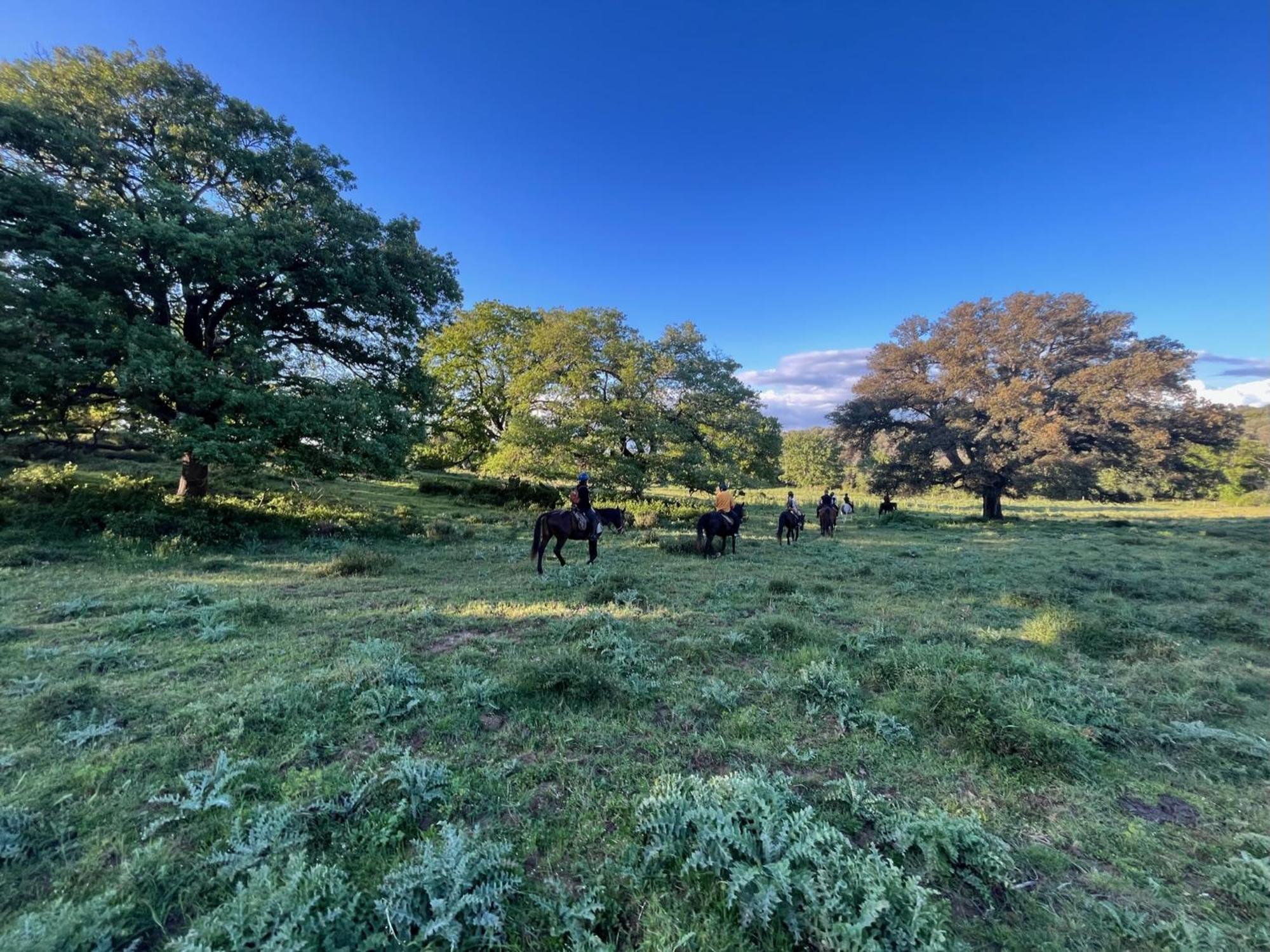 Il Gelsomino Bio Farm stay Alberese
